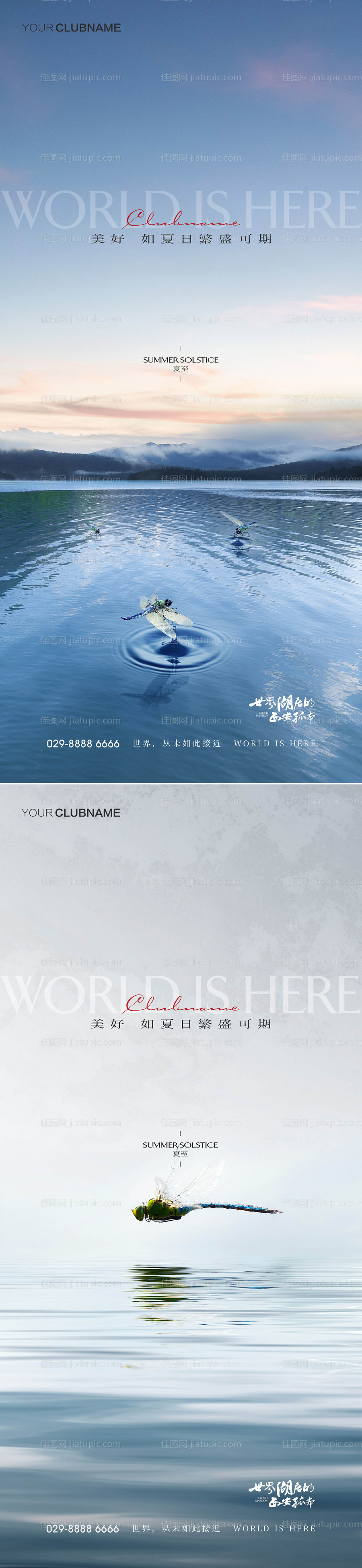 夏至节气海报-源文件