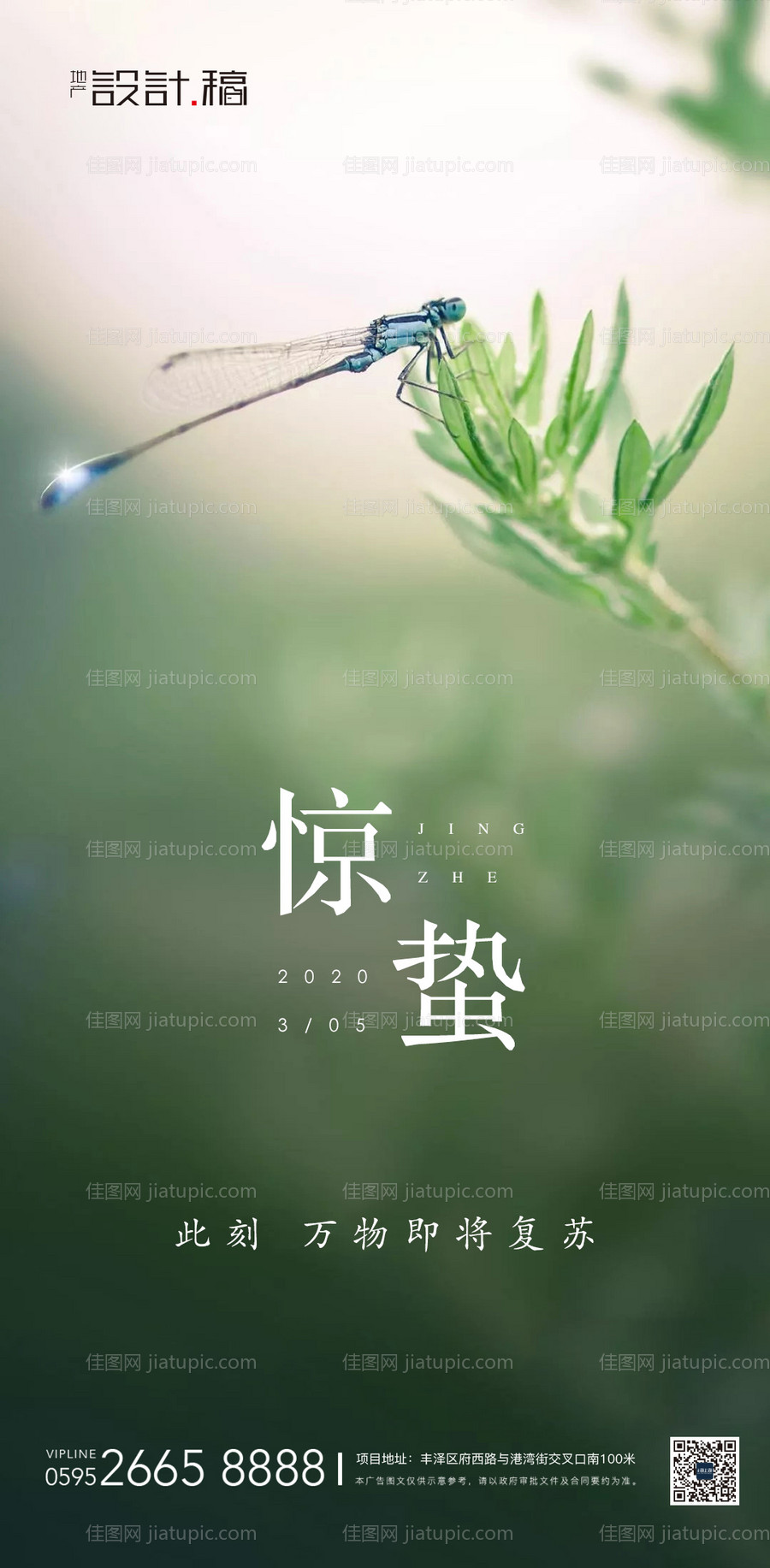 惊蛰传统节气地产海报-源文件