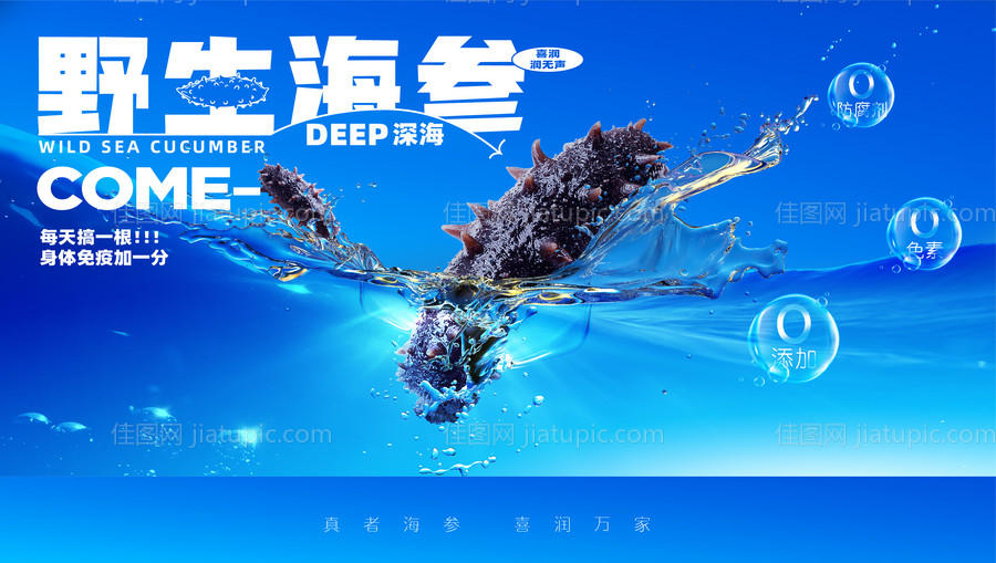 蓝色海参视觉海报-源文件