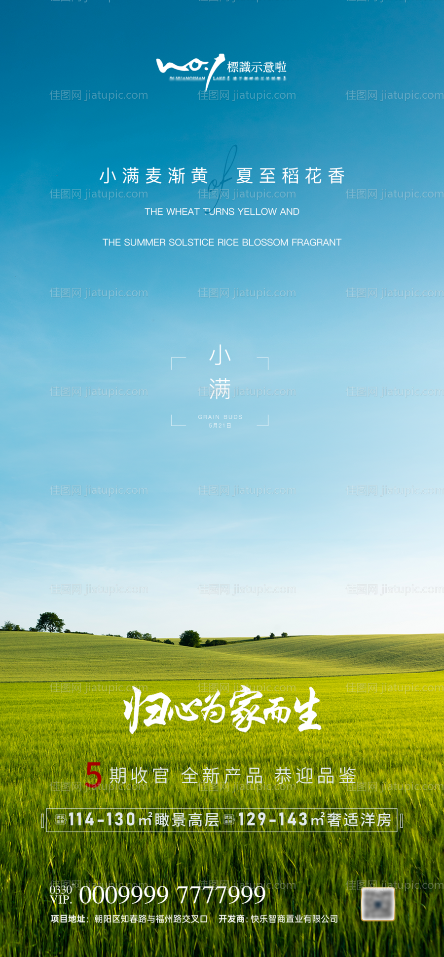 地产小满海报-源文件