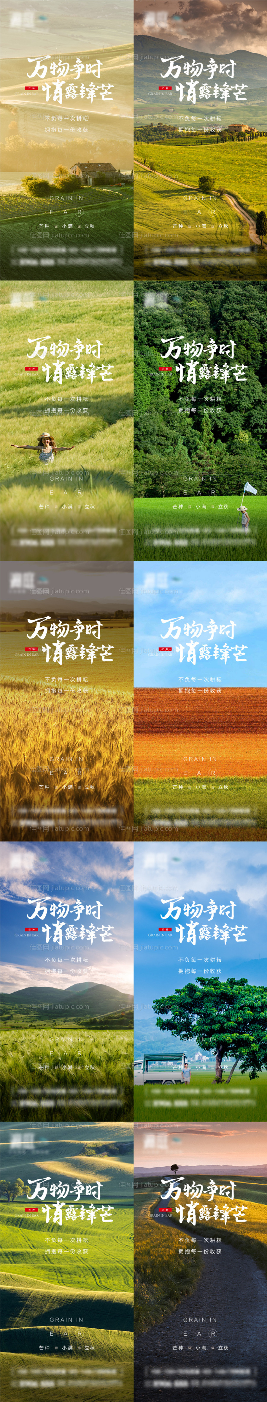 芒种小满立秋节气系列海报-源文件