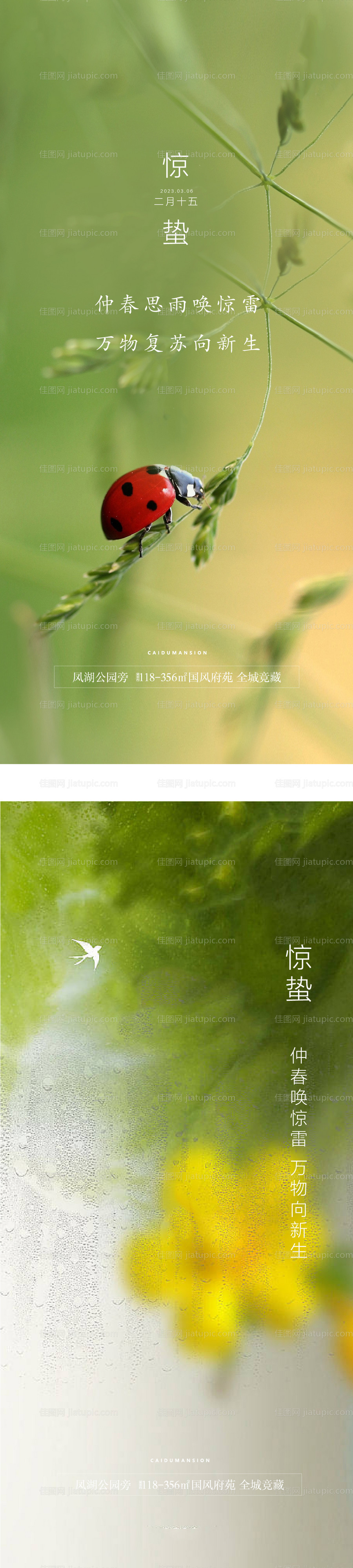 惊蛰春分谷雨节气-源文件