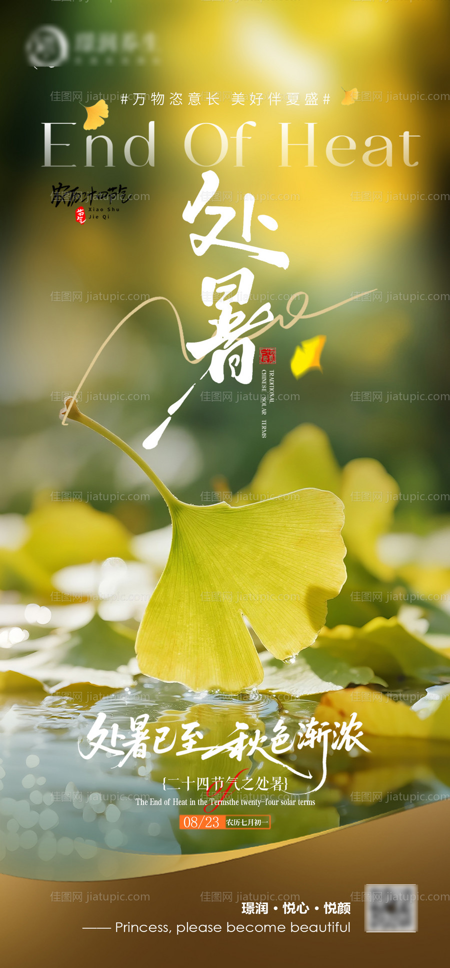 美业二十四节气处暑-源文件