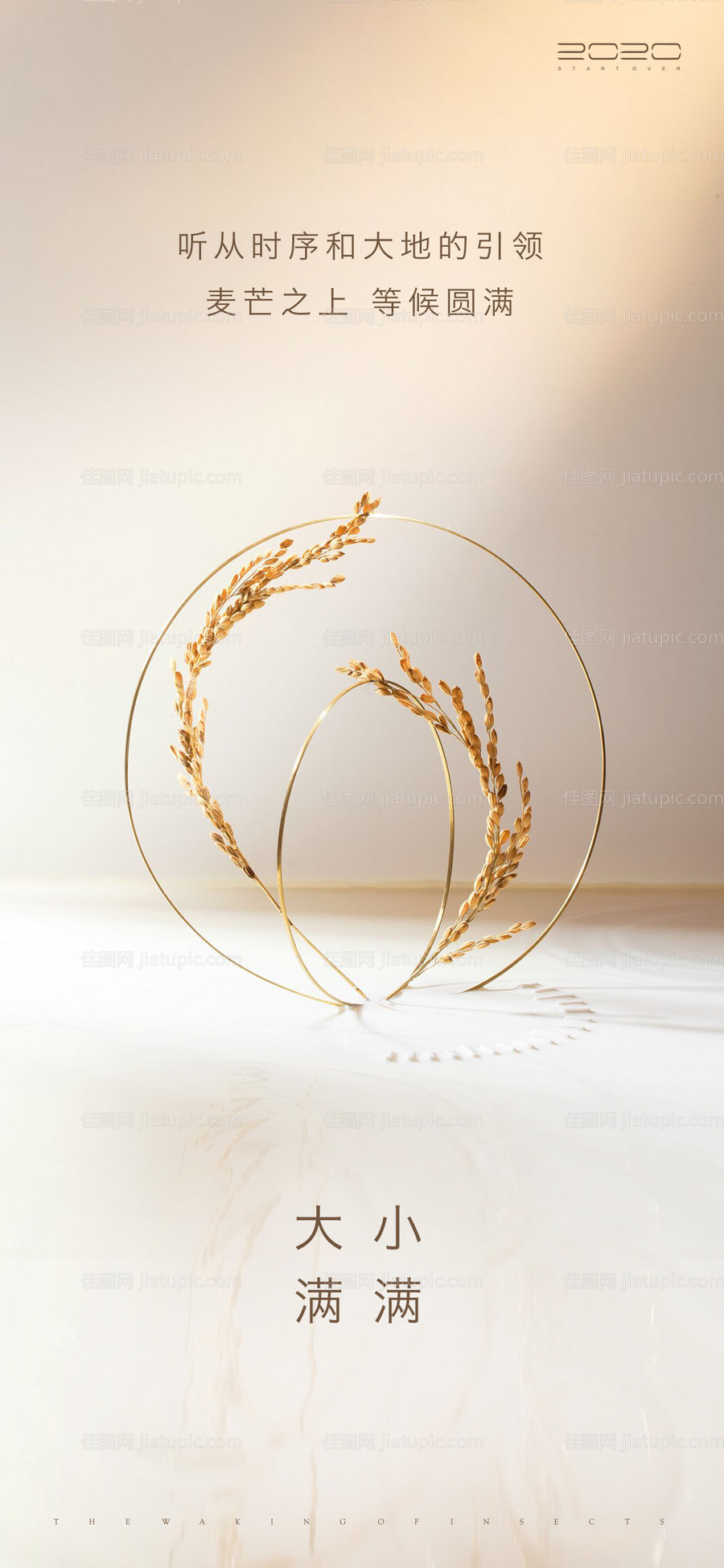 小满大满节气海报-源文件