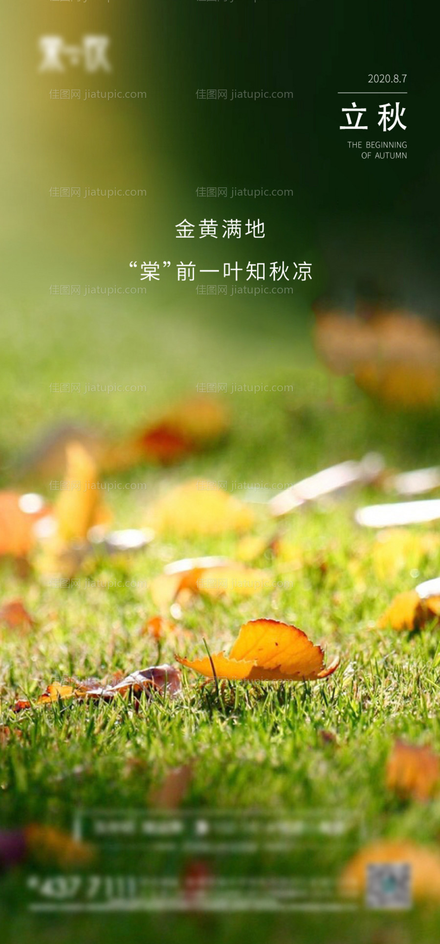 立秋节气移动端海报-源文件