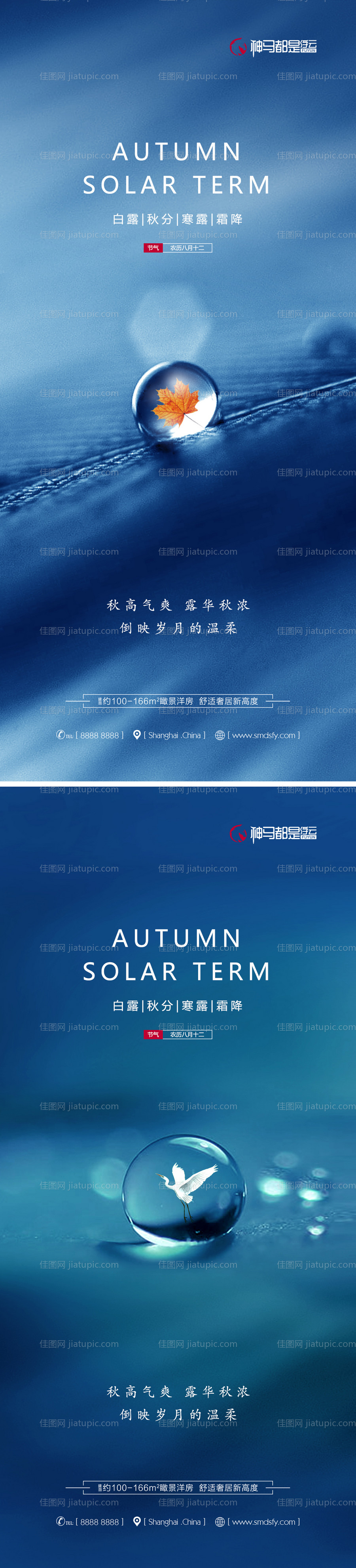 白露秋分寒露霜降系列海报-源文件