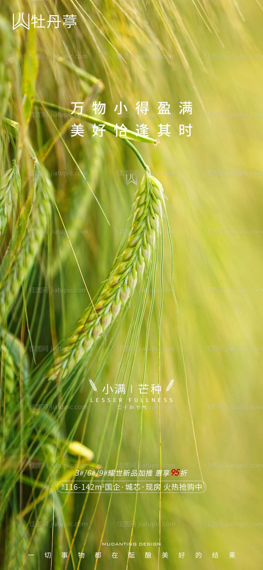 地产小满芒种节气系列海报-源文件