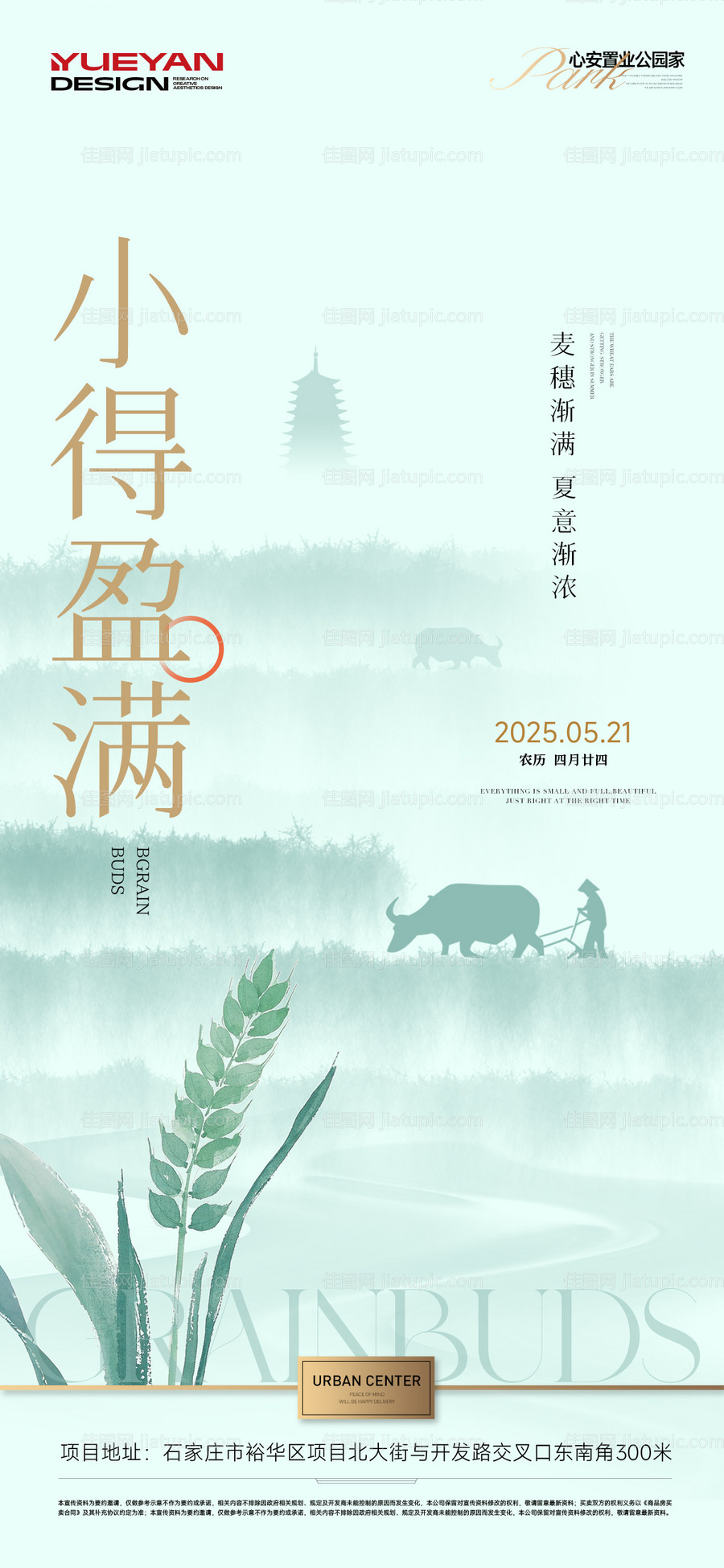 小满节气海报-源文件