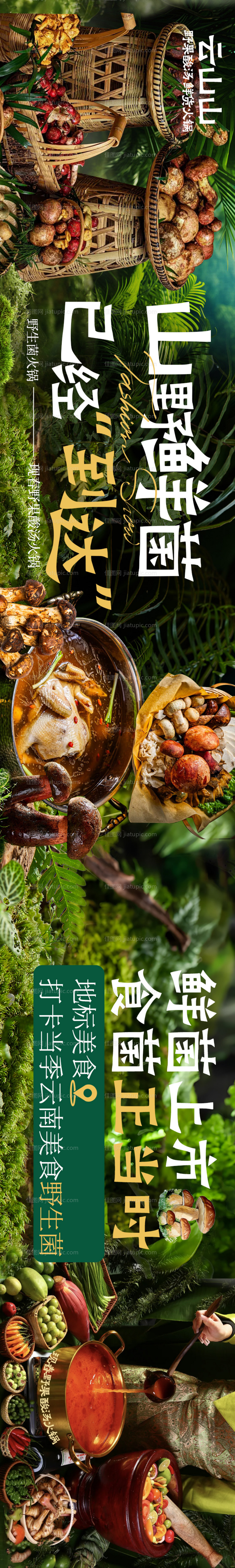 山野菜野生菌五连图-源文件