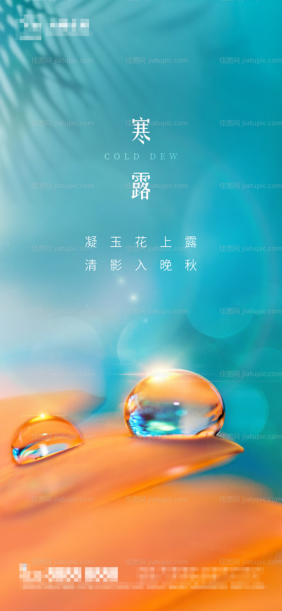 地产寒露节气海报-源文件