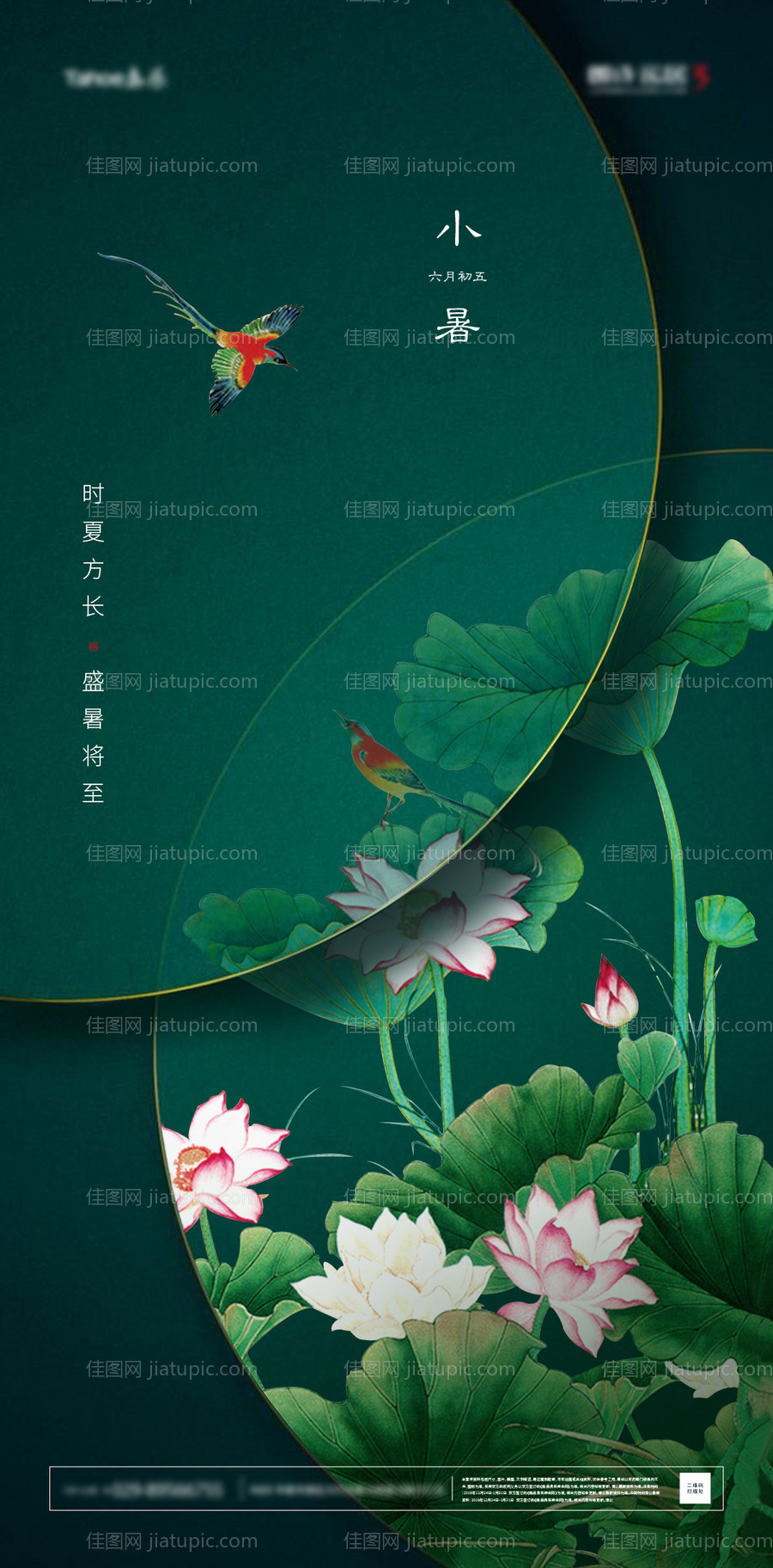 地产小暑节气微信海报-源文件