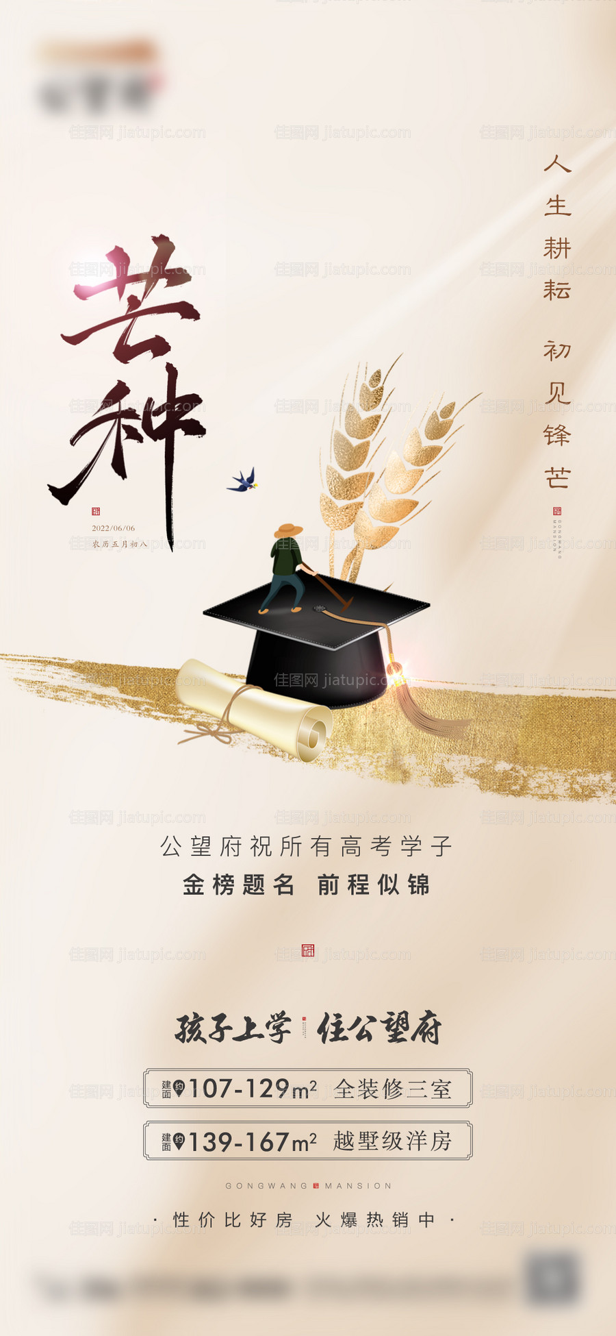 芒种高考-源文件