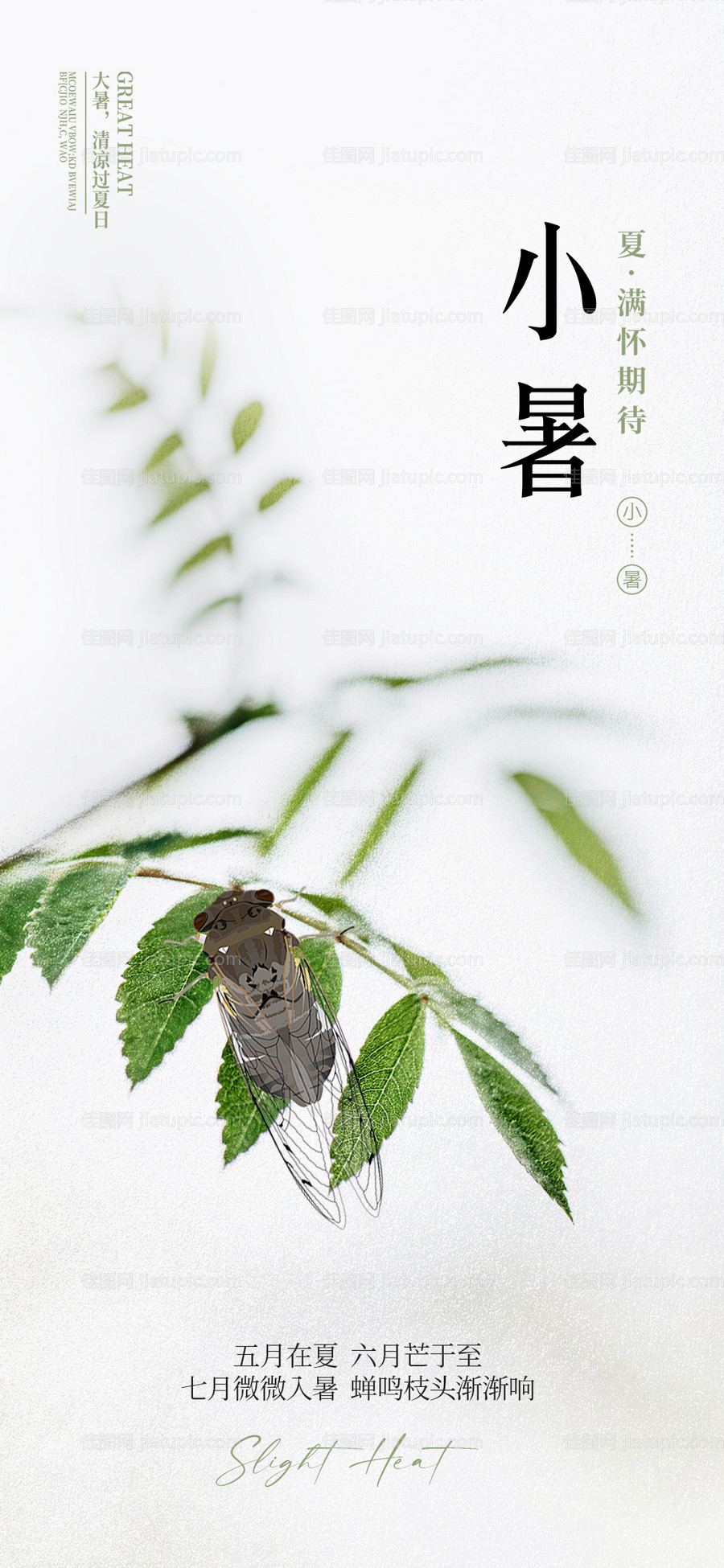 二十四节气小暑海报-源文件