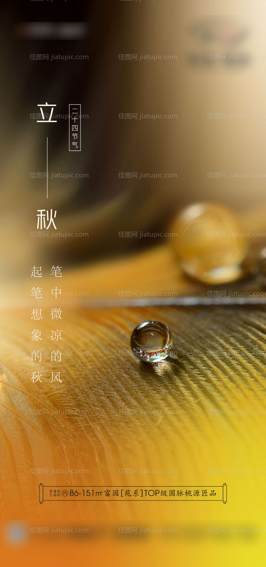 立秋节气海报-源文件