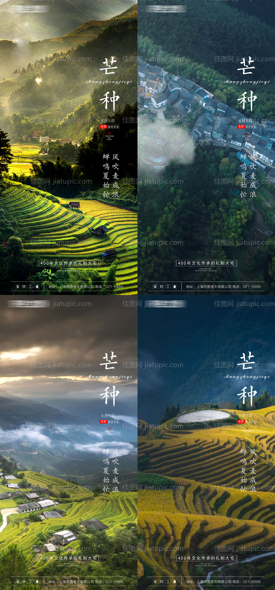 芒种节气系列海报-源文件