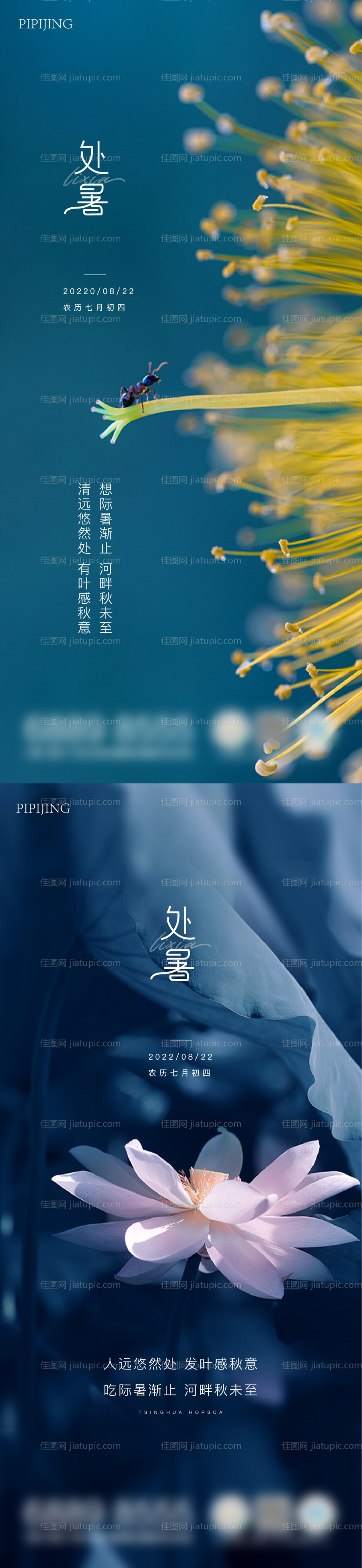 节气海报-源文件