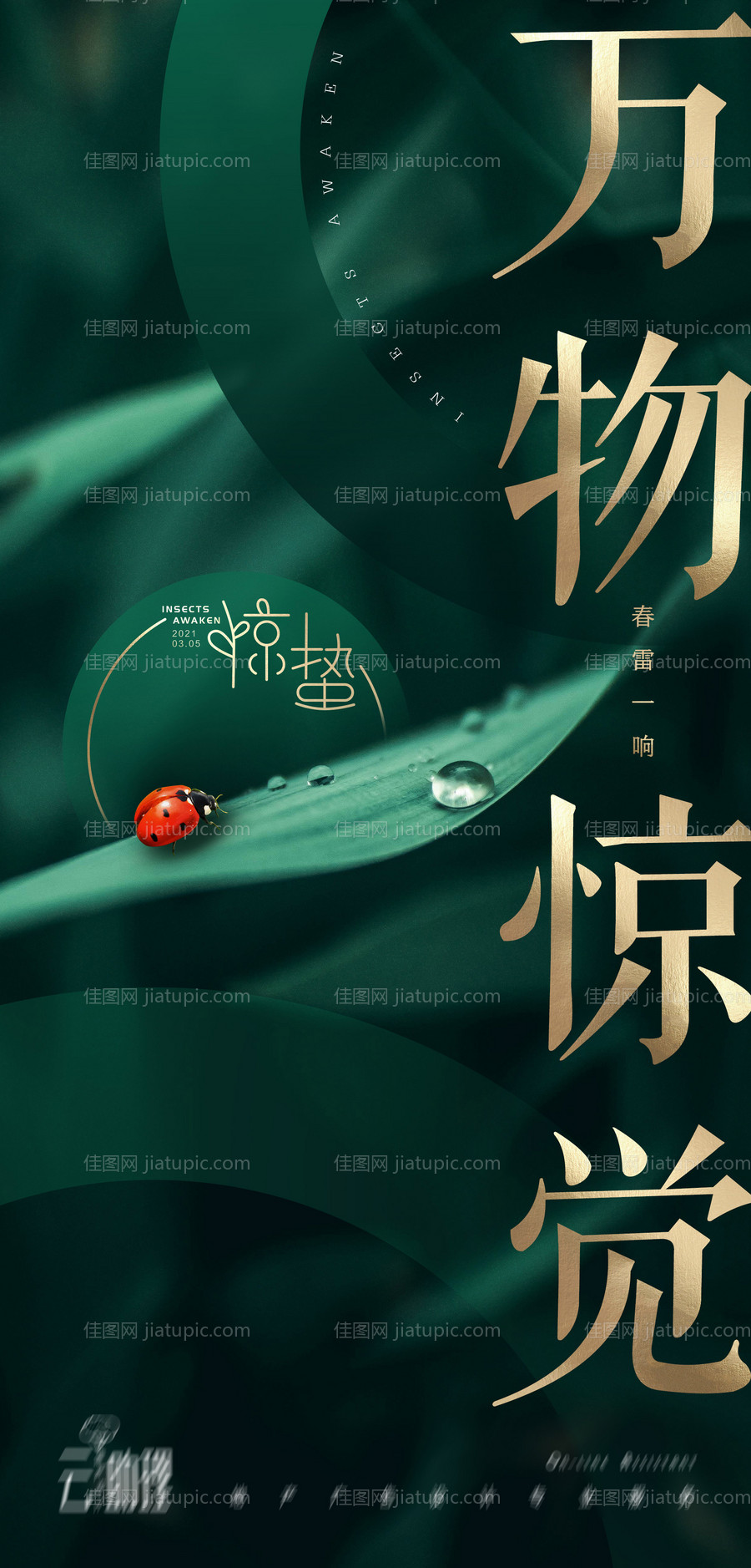 惊蛰移动端海报-源文件