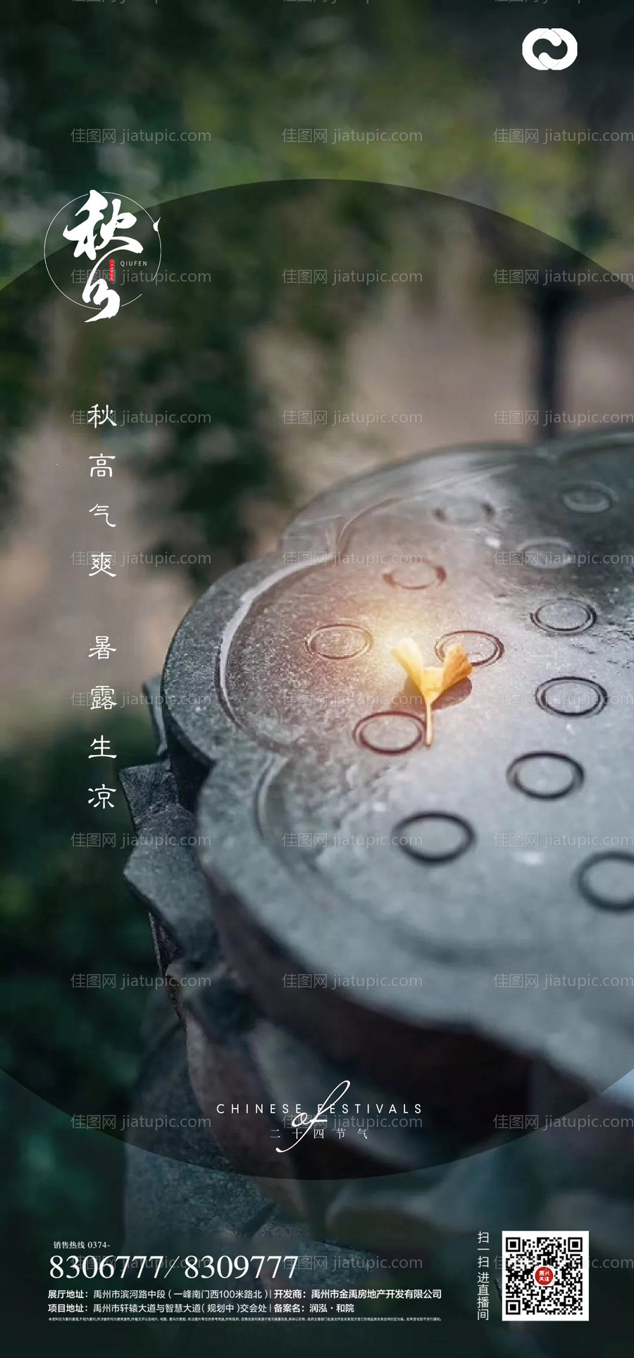 秋分节气海报-源文件