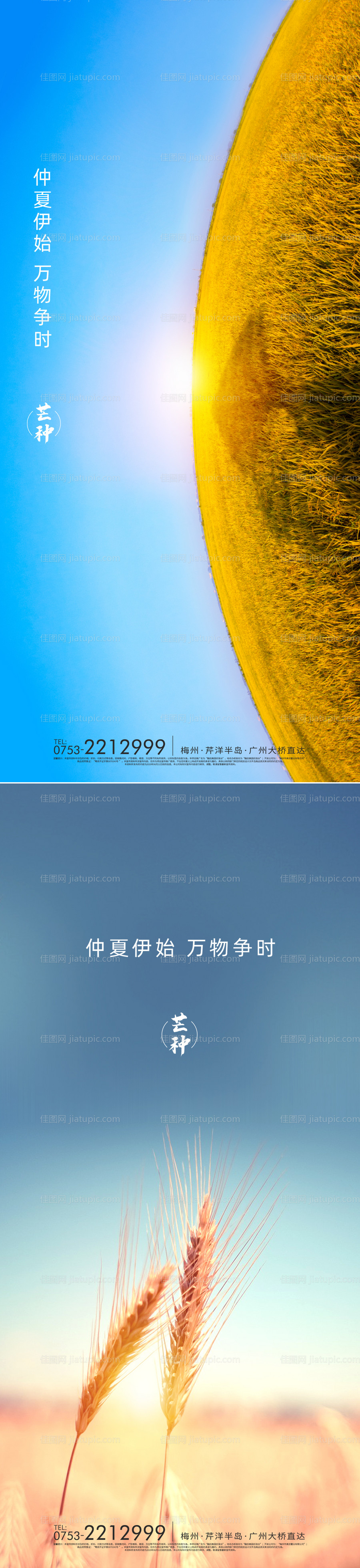 芒种海报-源文件