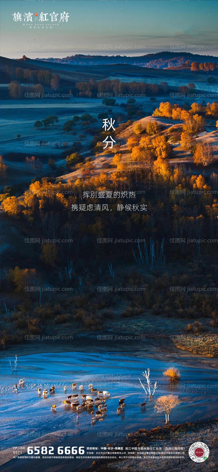 地产秋分节气海报-源文件