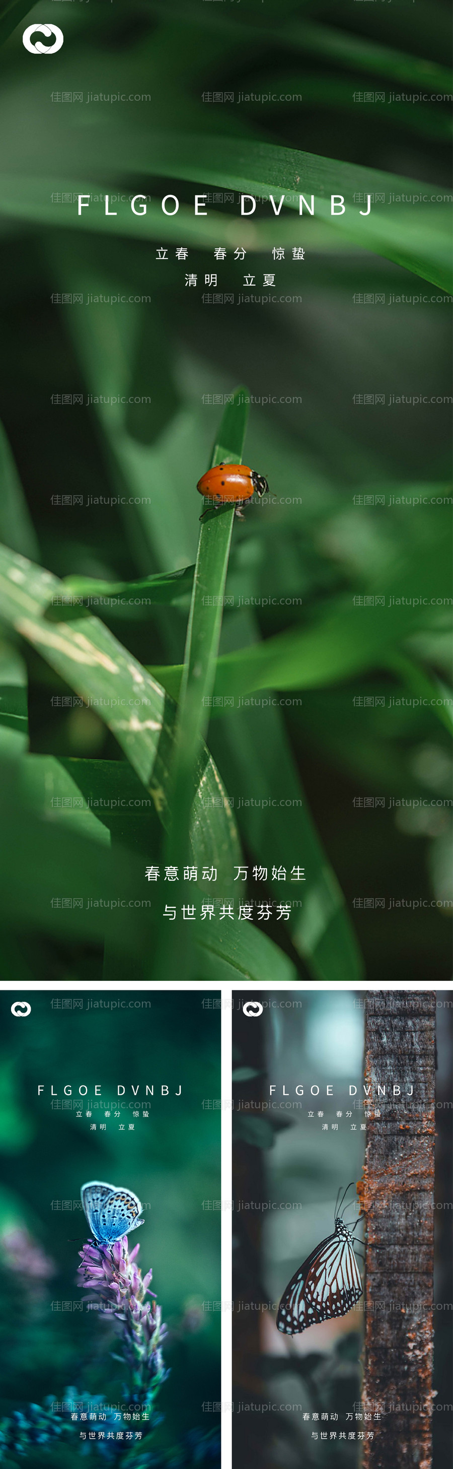 惊蛰立春春分清明立夏系列海报-源文件