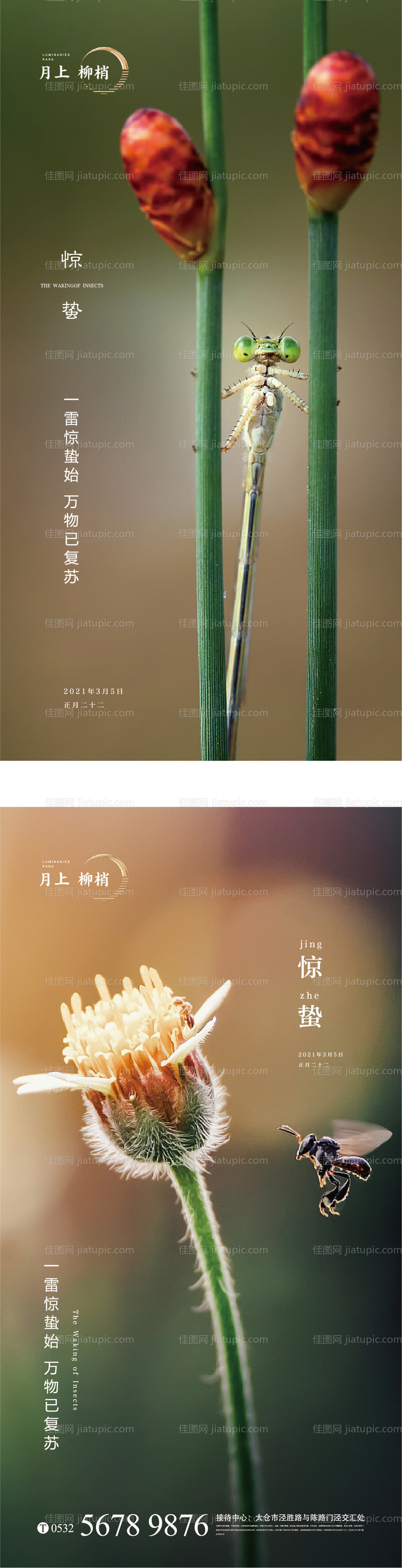 惊蛰节气系列海报-源文件