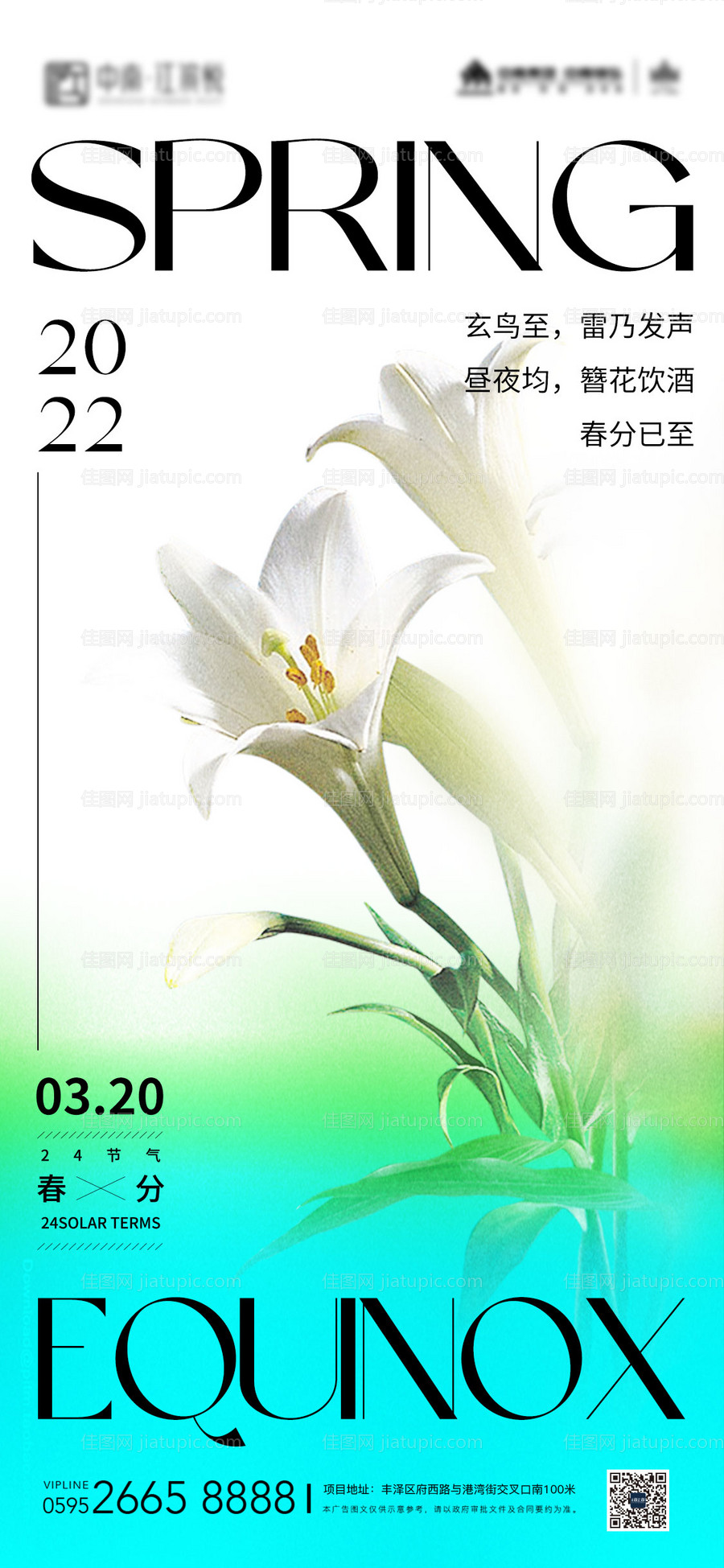 酸性渐变节气春分海报-源文件