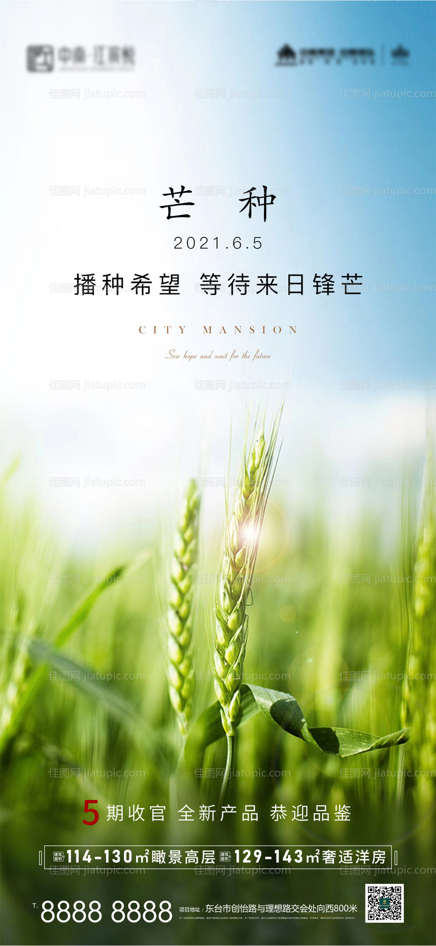 地产芒种宣传海报-源文件