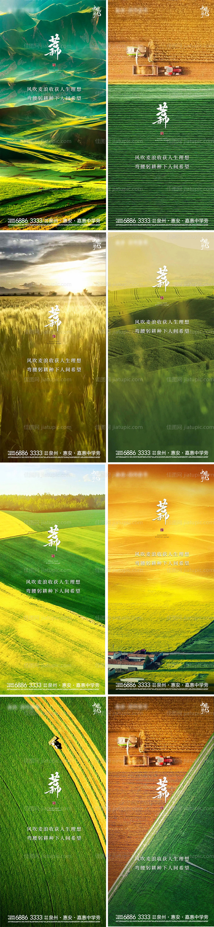 地产节气风景芒种系列海报-源文件