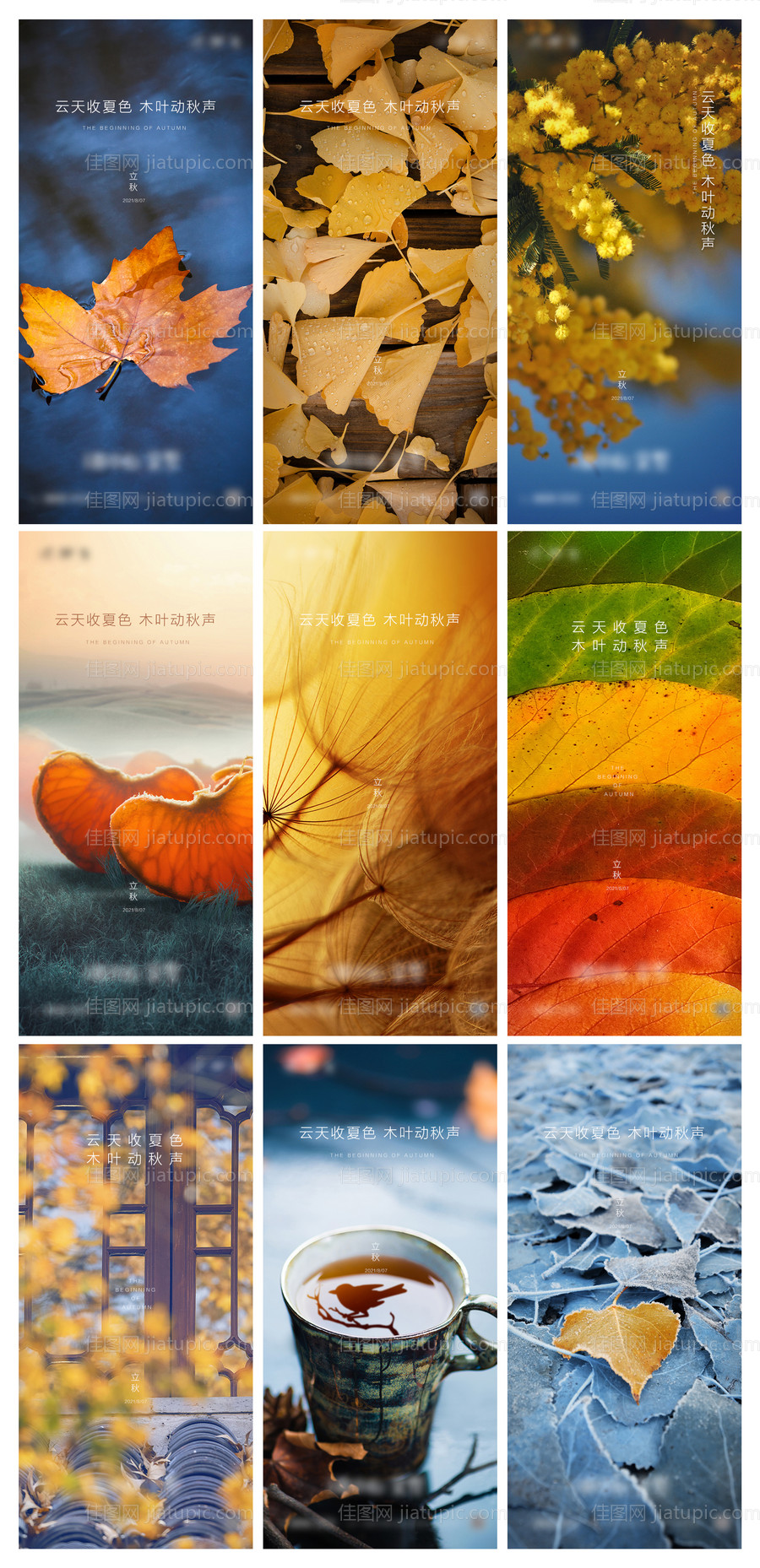 立秋节气海报-源文件