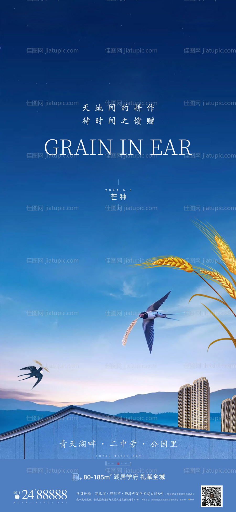 地产节气芒种海报-源文件