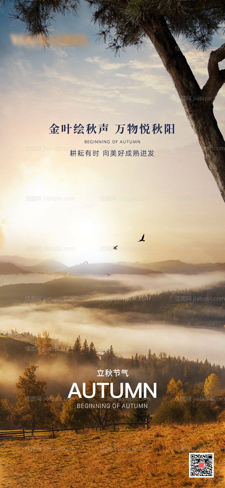 处暑立秋秋分海报-源文件