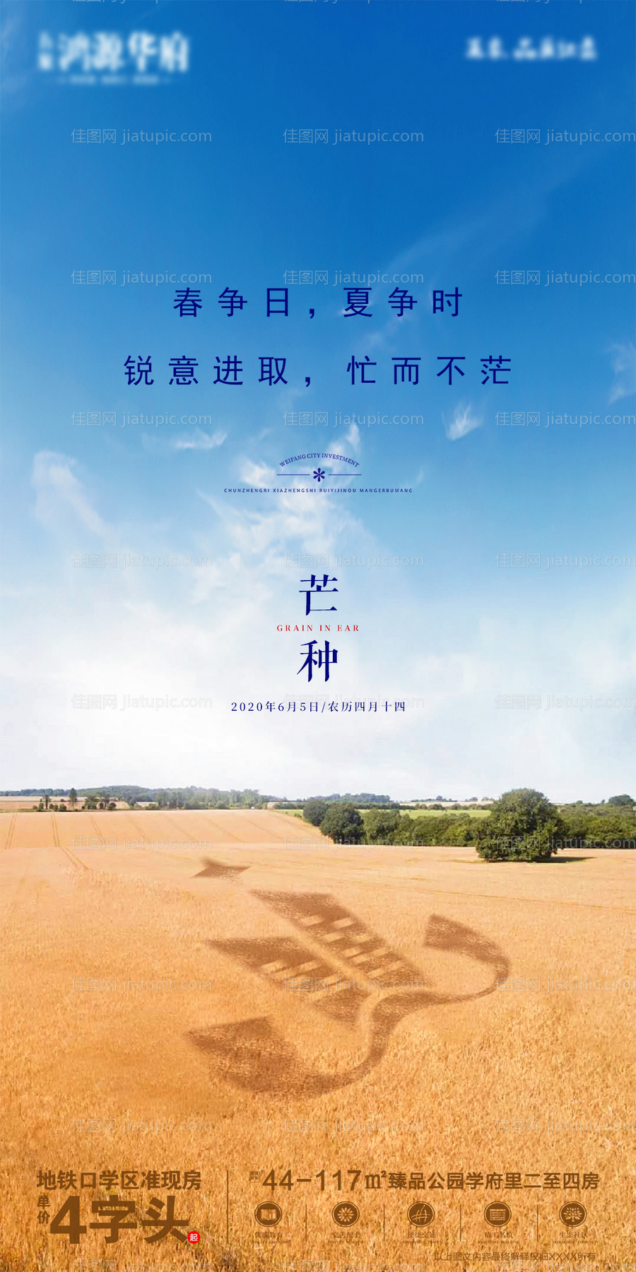 地产芒种节气海报-源文件